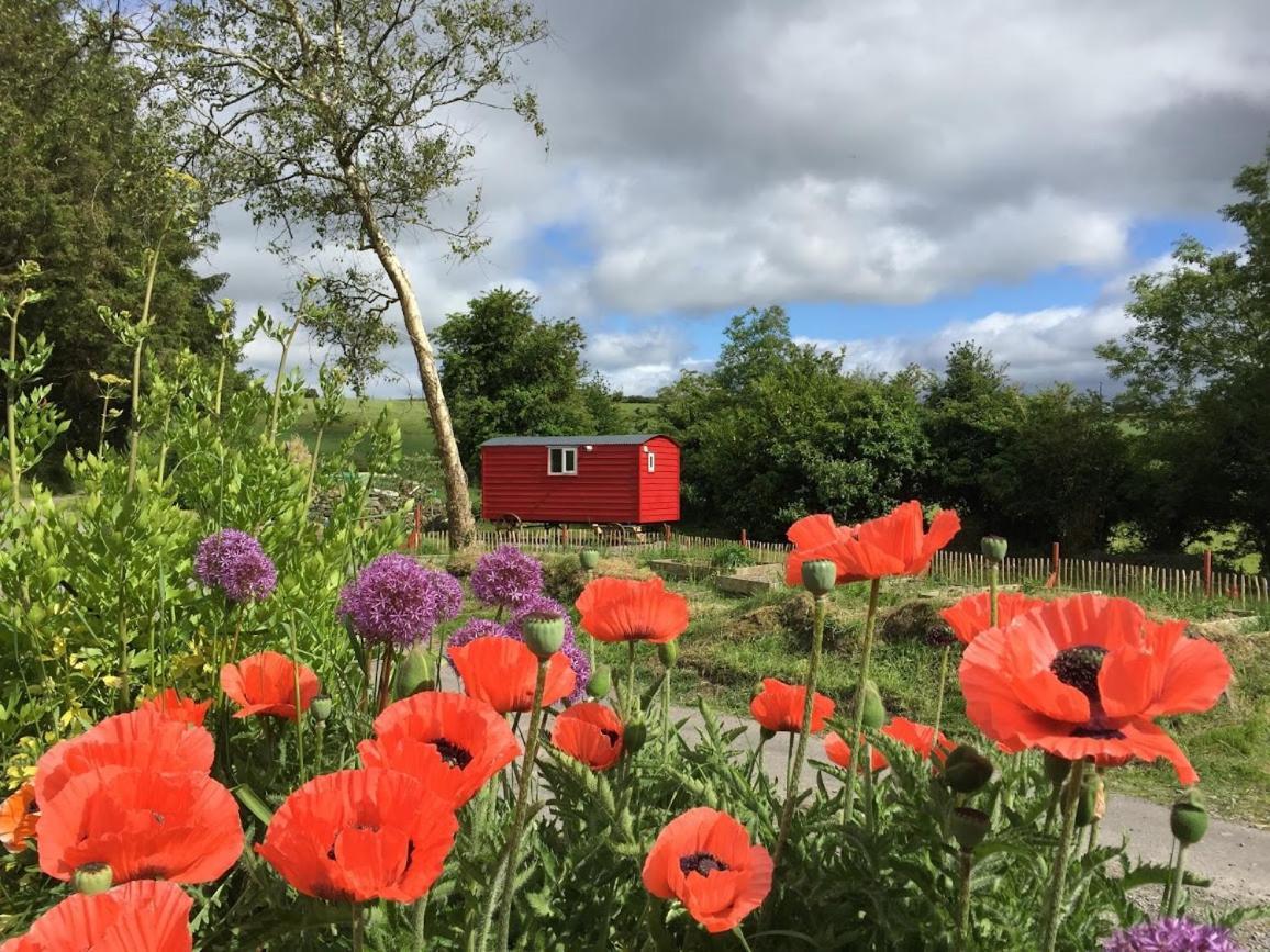 Ballyroe Accommodation Leap Luaran gambar