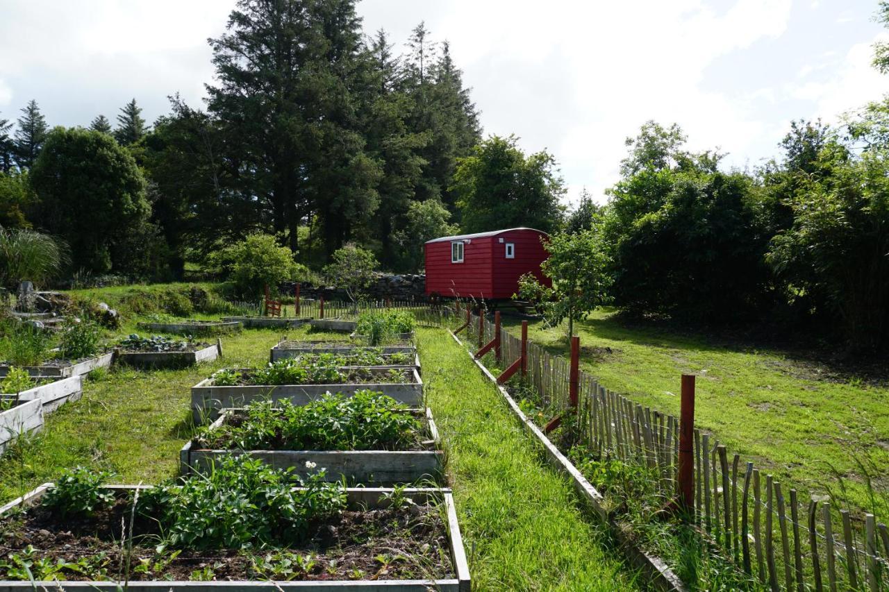 Ballyroe Accommodation Leap Luaran gambar